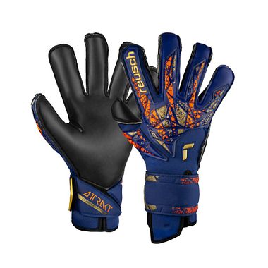 Reusch Attrakt Duo Evolution premium blue/gold/black