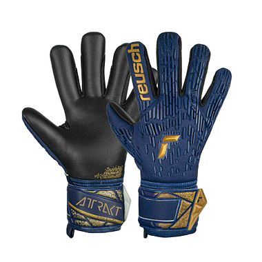 Reusch Attrakt Freegel Silver premium blue/gold/black